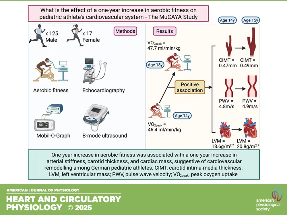 Longitudinal association of peak oxygen uptake with vascular and cardiac structure and function in German pediatric athletes